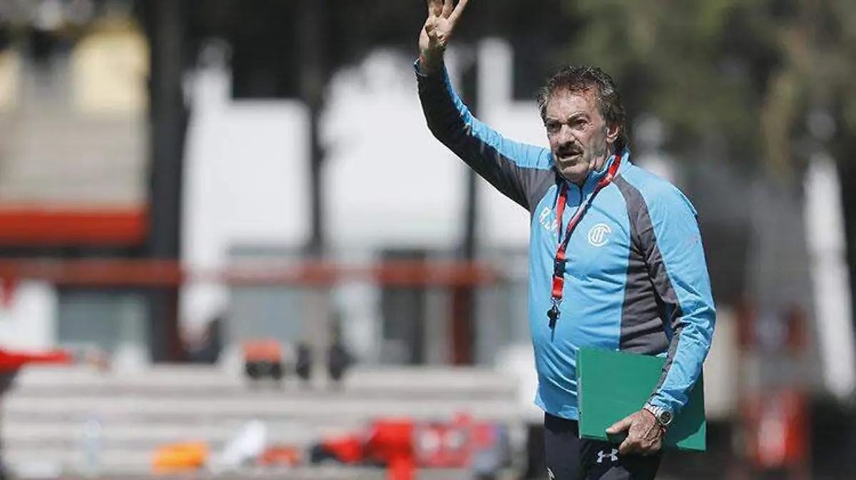 lavolpe