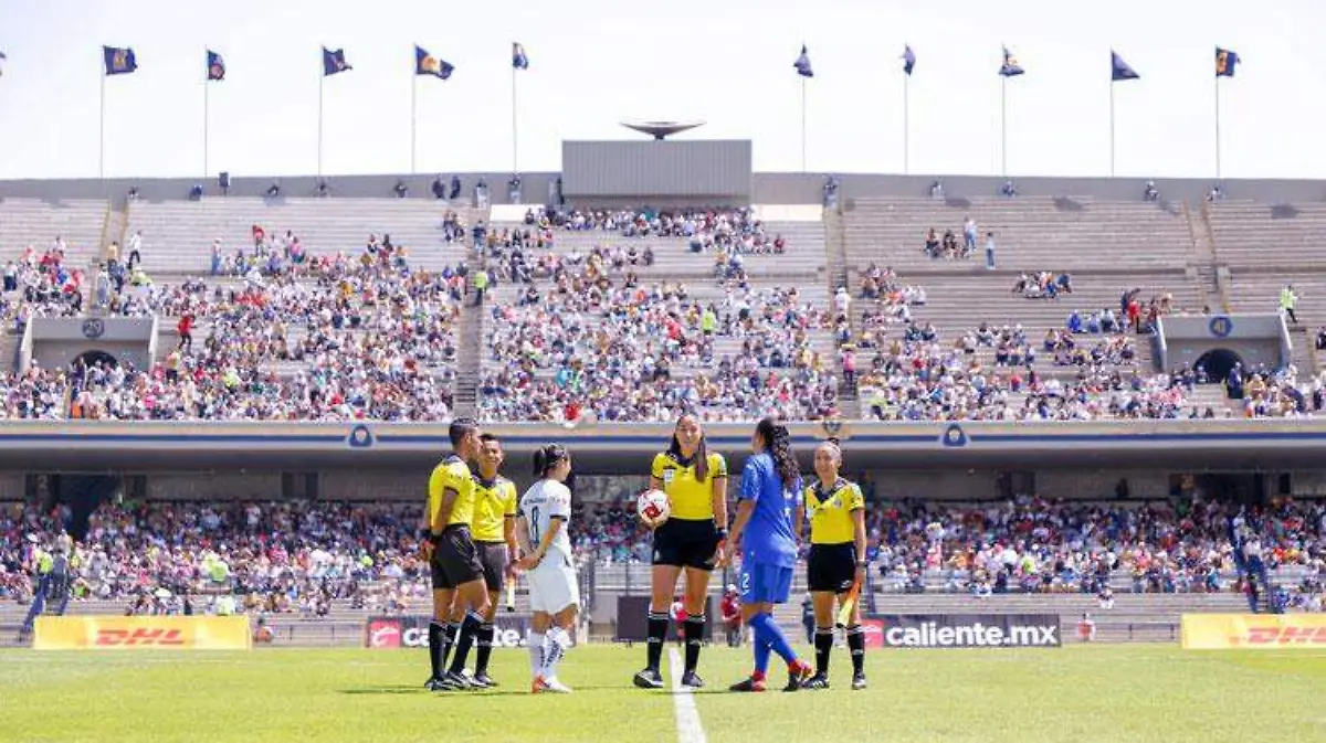 pumas