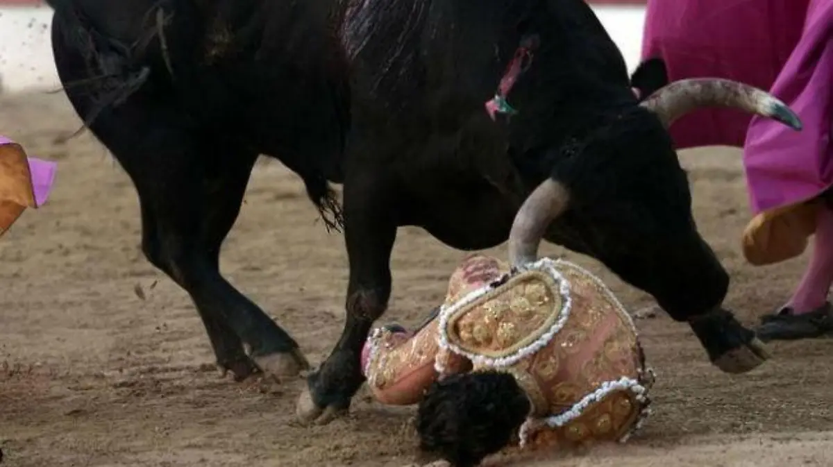 toro-afp