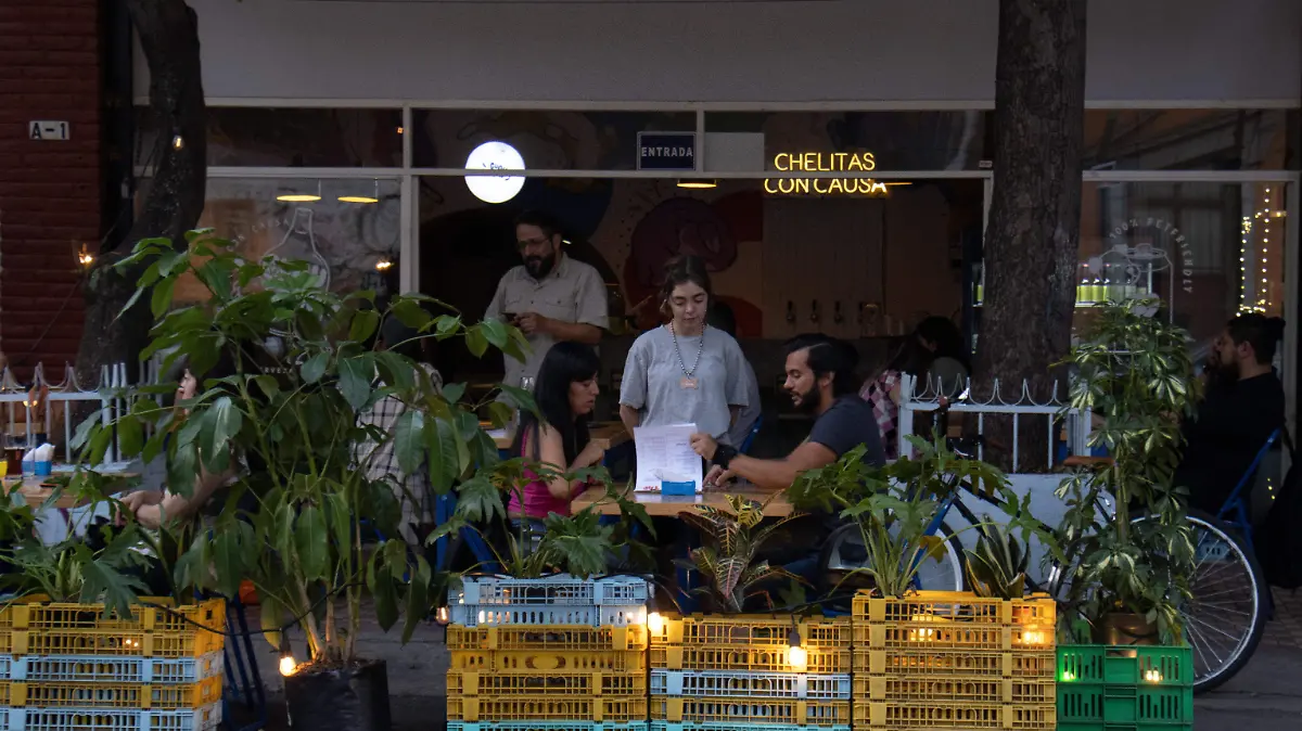 CERVECERÍA_GUAU_TAP_alejandro aguilar