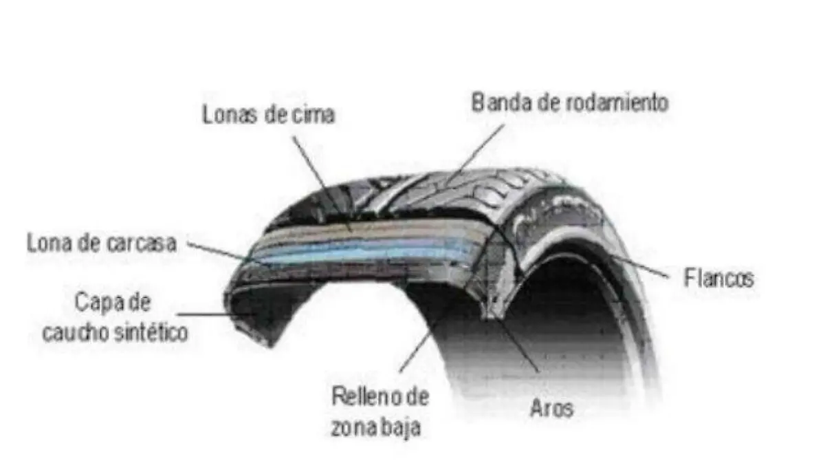 estructura-neumaticos-internaexterna
