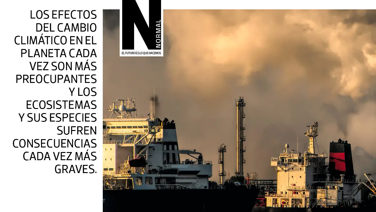 2023 caliente SITIO2