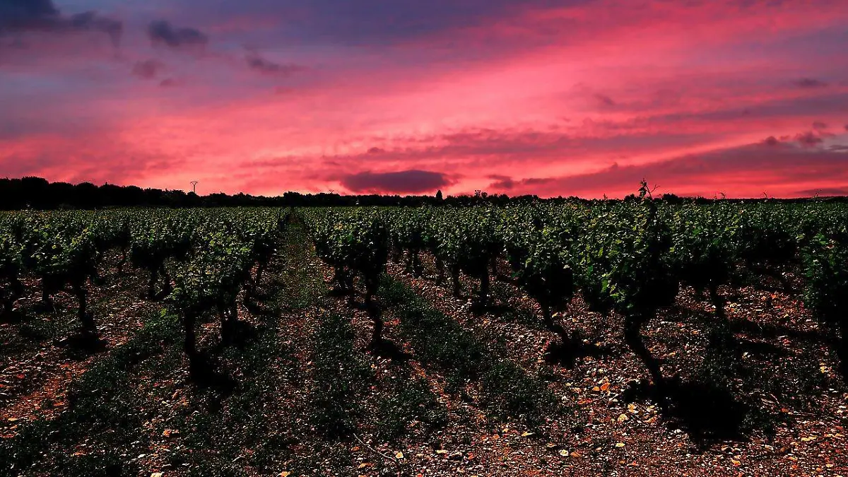 sunset-5183074_1280