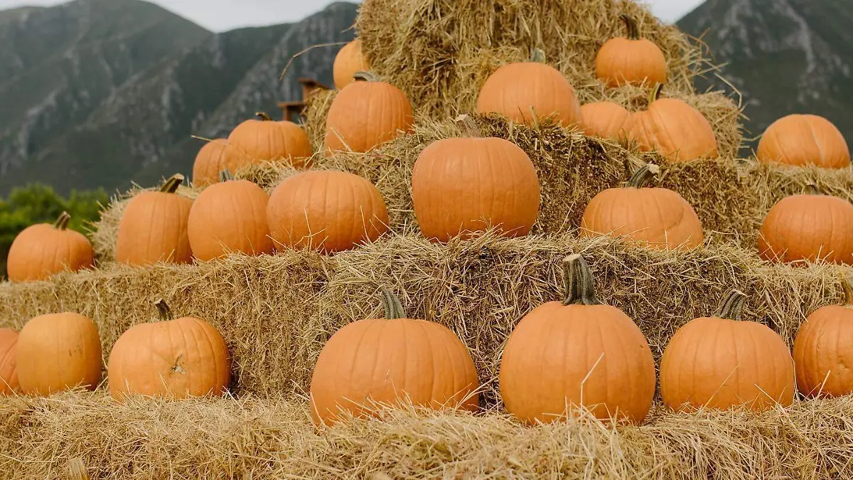 6_PODCAST_CALABAZA (3)