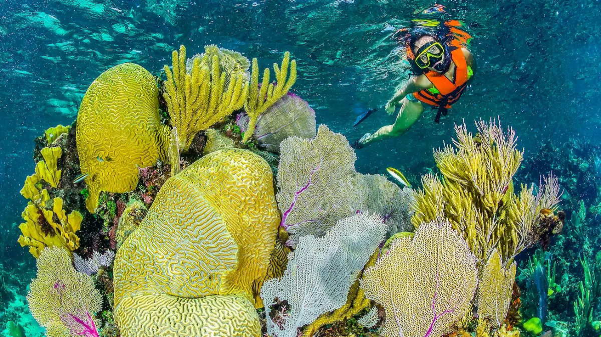 2.-NativPar Puerto Morelos_Snorkel