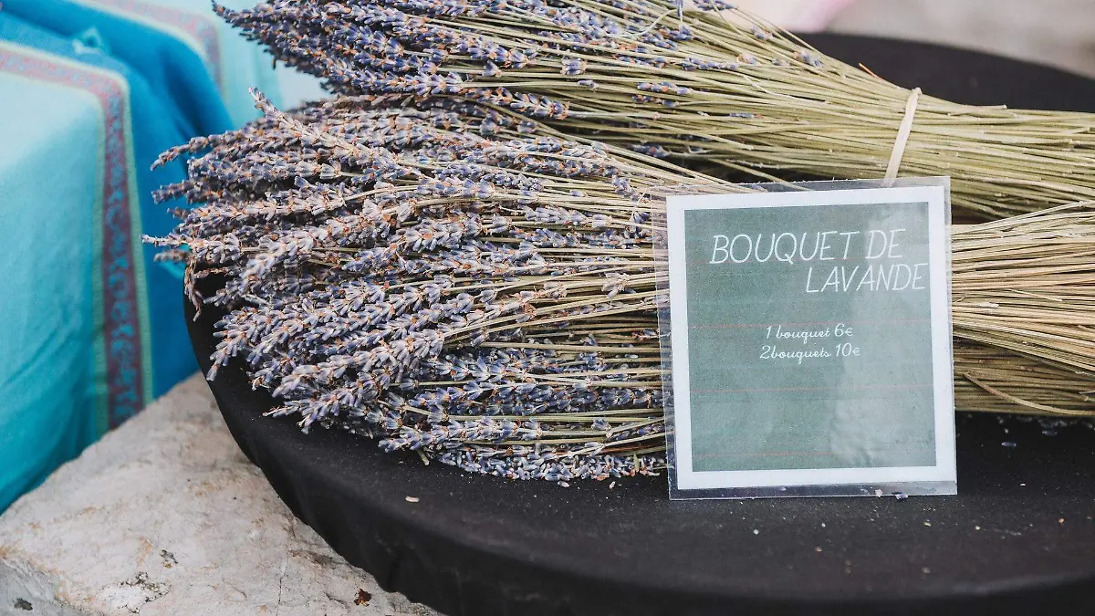 lavanda