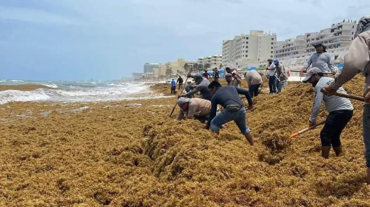 _Fotografía México es Ciencia  2 