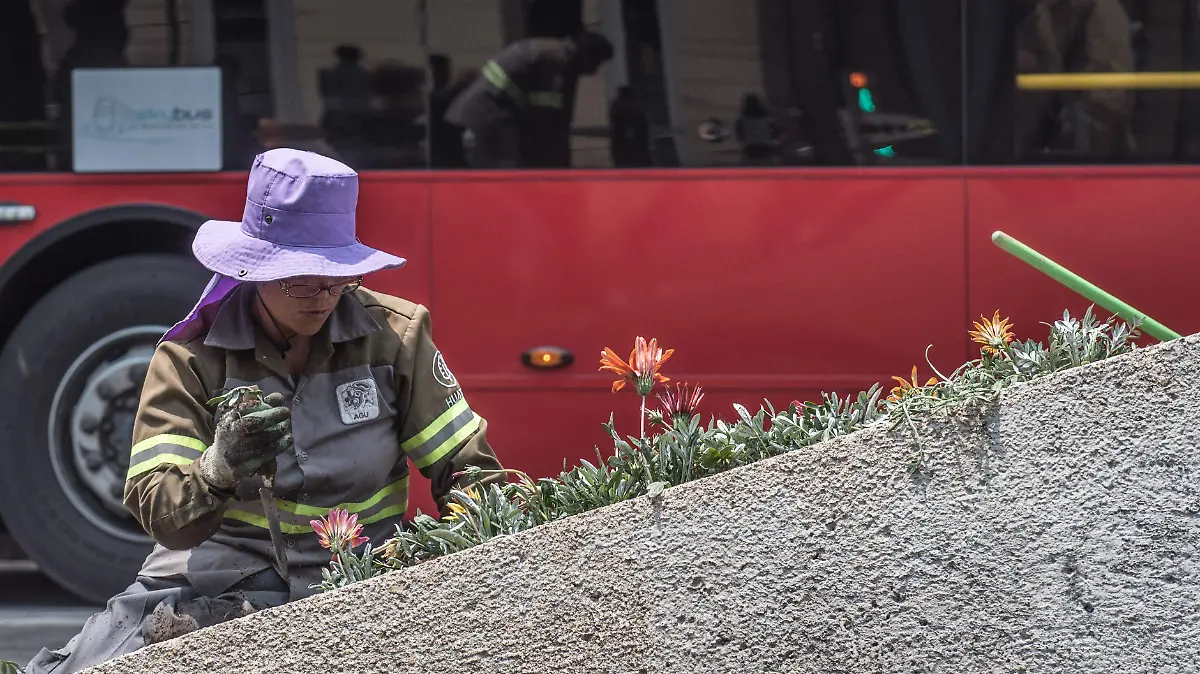 Cotidiana_Reforma-1_6