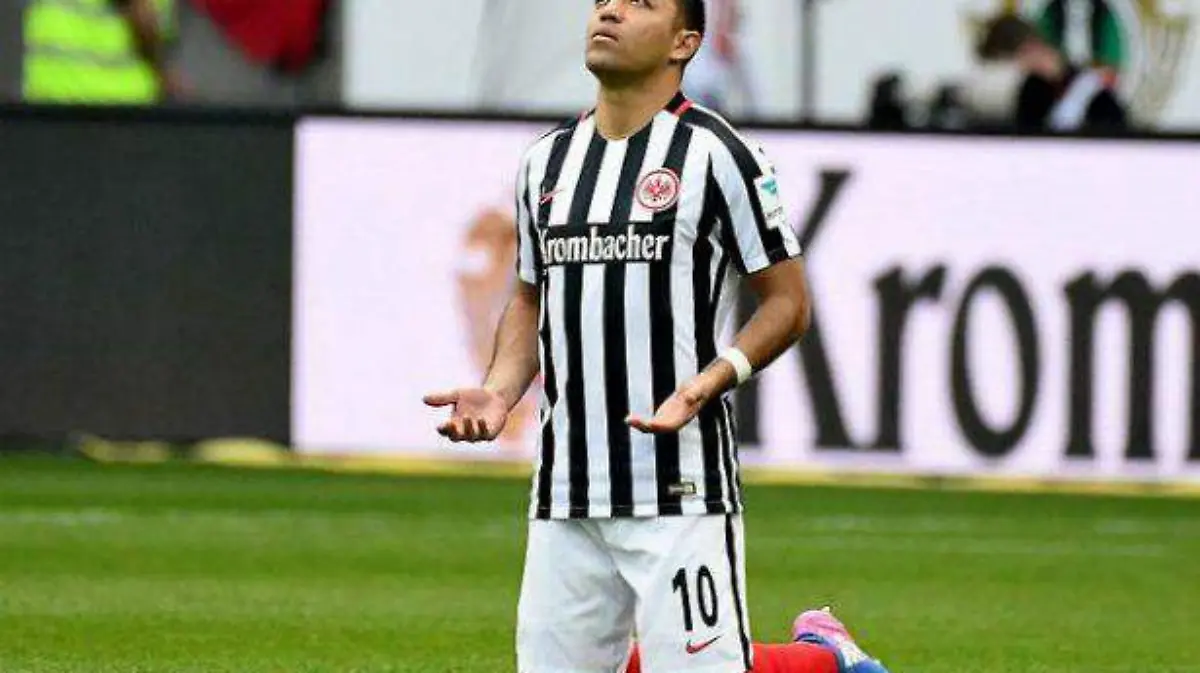 marcofabian