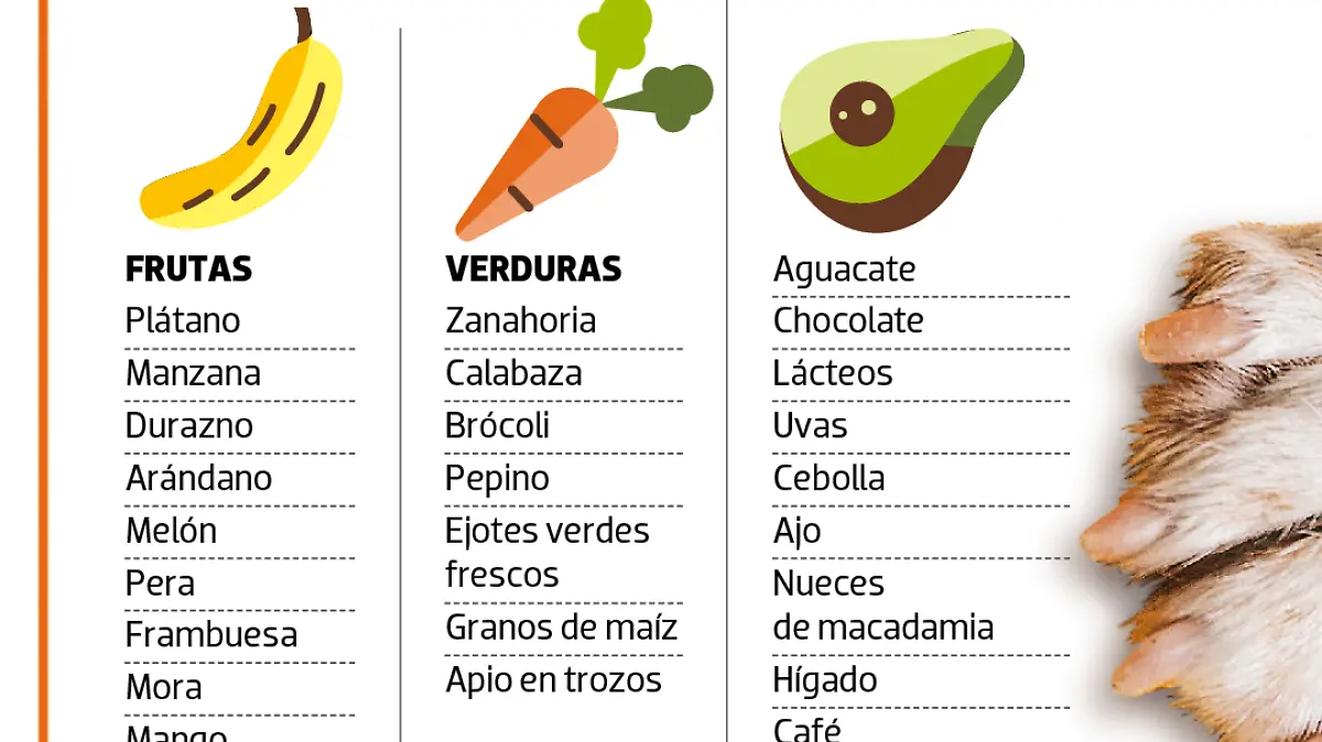 Aderezo Pet Friendly Tabla 1