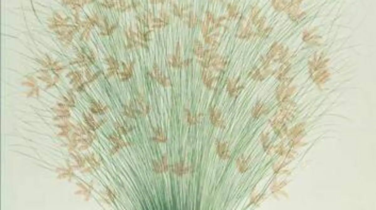 el-infinito-en-un-junco