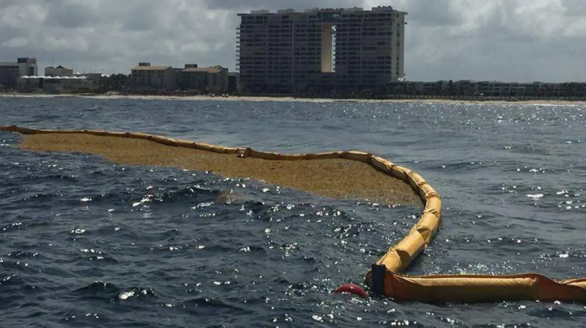 sargazo-qroo-1