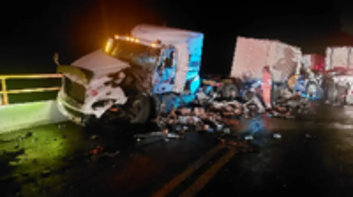 385a3169-6c83-41c6-b8ae-7f0967954831