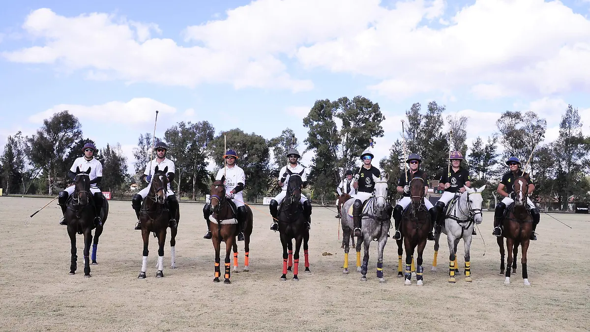COPA DE POLO-01