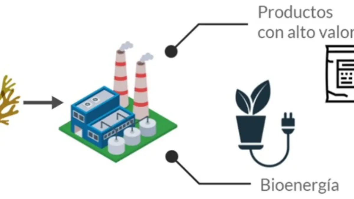 _Figura México es Ciencia 3.peg