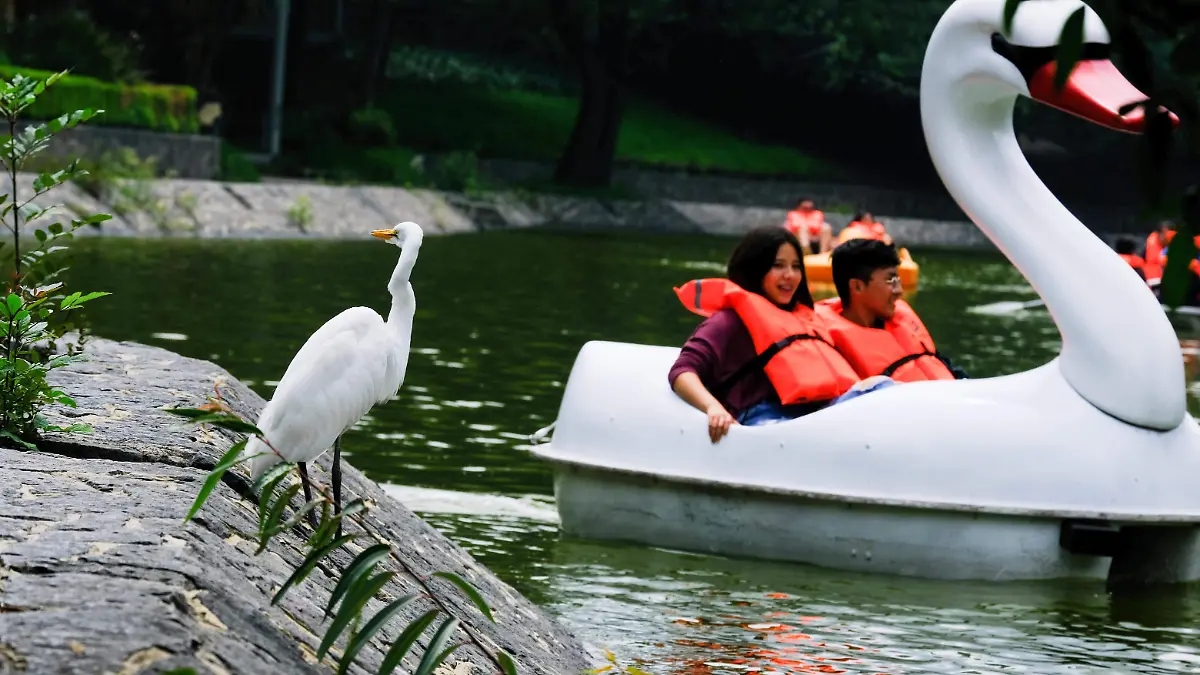 Vida_cotidiana_Chapultepec-5_4