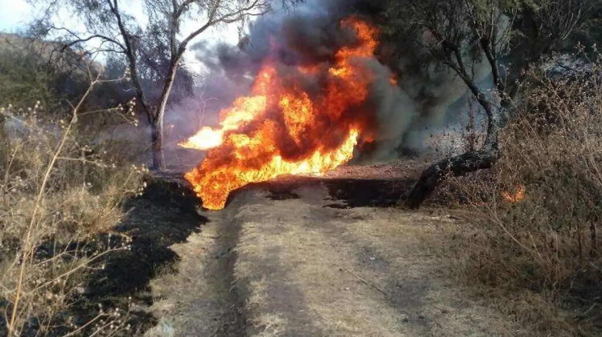 ducto-pemex-huachicoleros-michoacan (3)