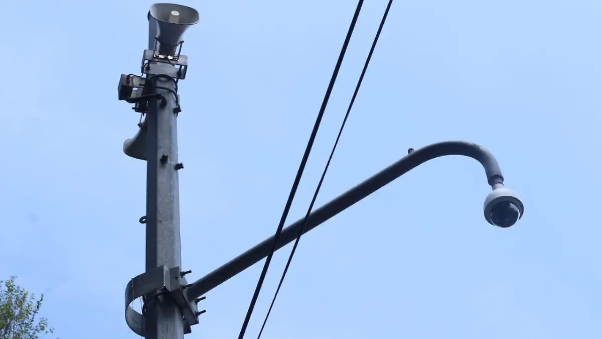 WhatsApp Image 2018-08-06 at 12.39.52