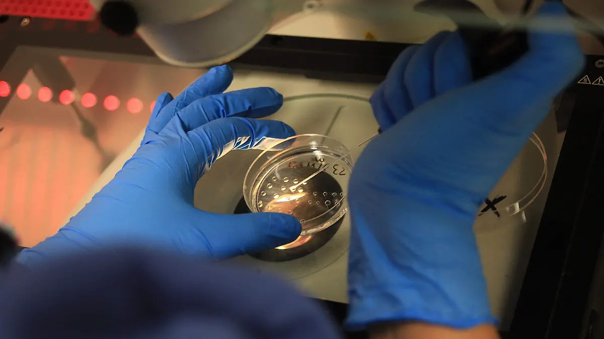 ffc14e855f853c173ec72ba5b09da94a059f4ccb