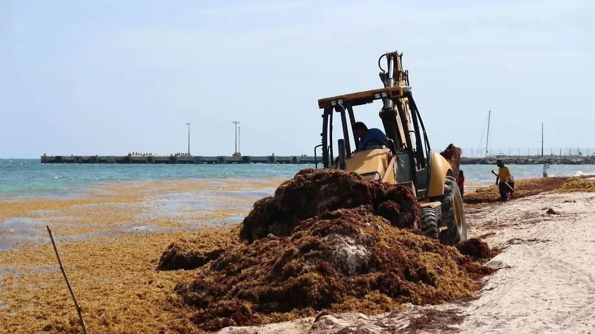 199 Fotografía  México es Ciencia 1
