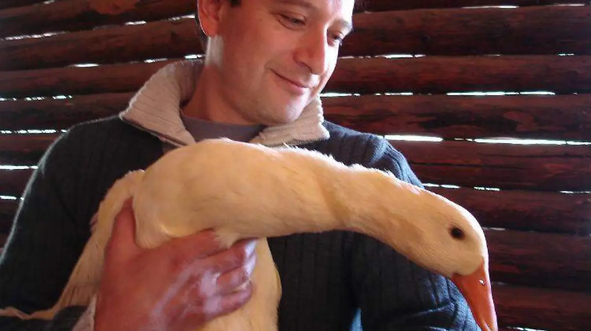 Monterreal-granja-resort