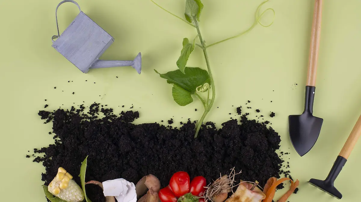 composicion-abono-base-alimentos-podridos