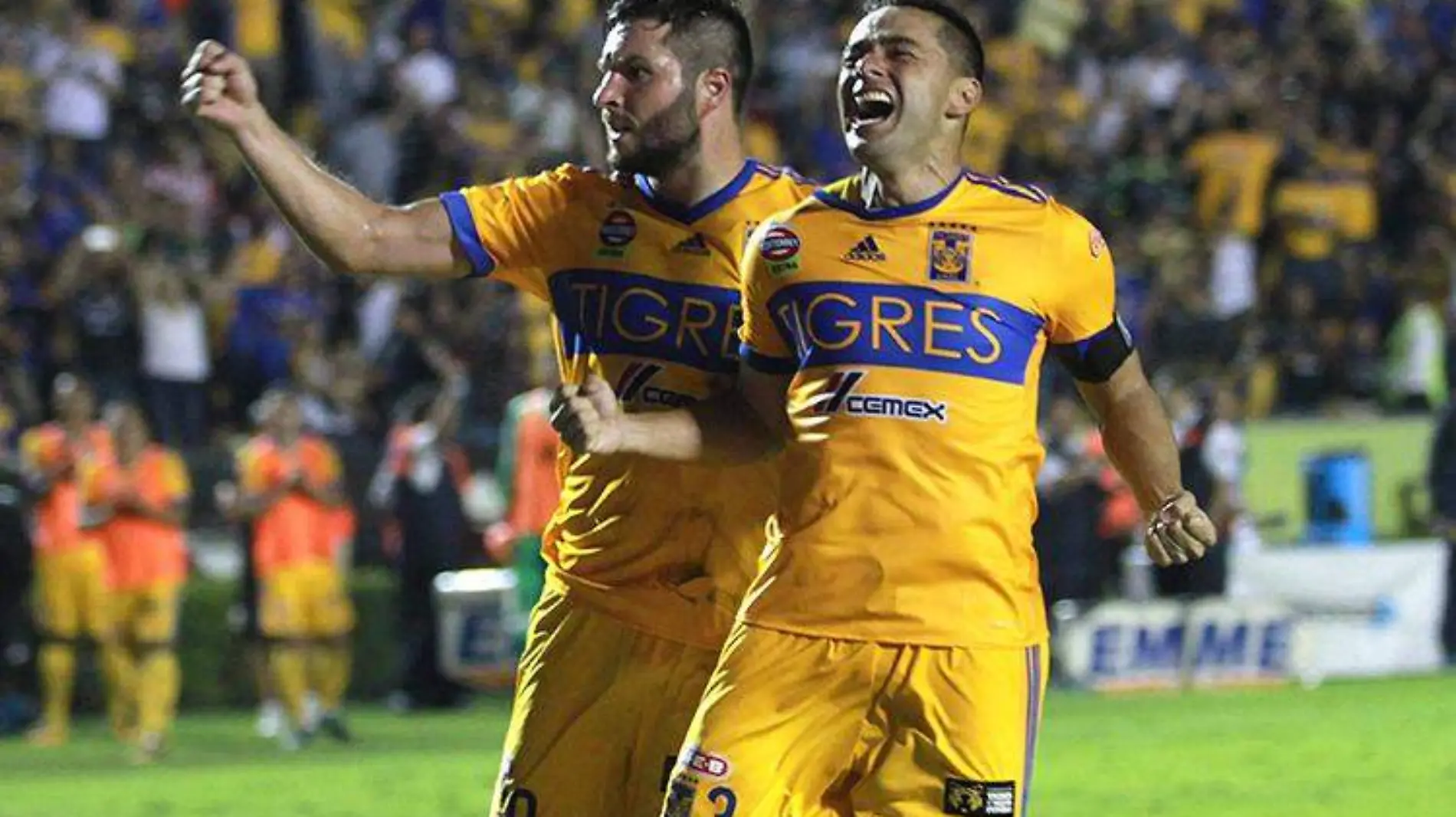 tigres