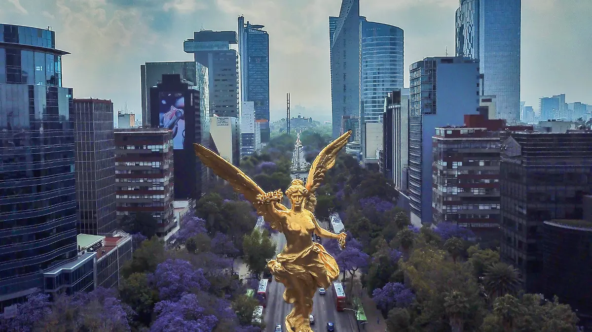 EA5A9FA8-E084-4975-ADAA-C8A3FAFE0441