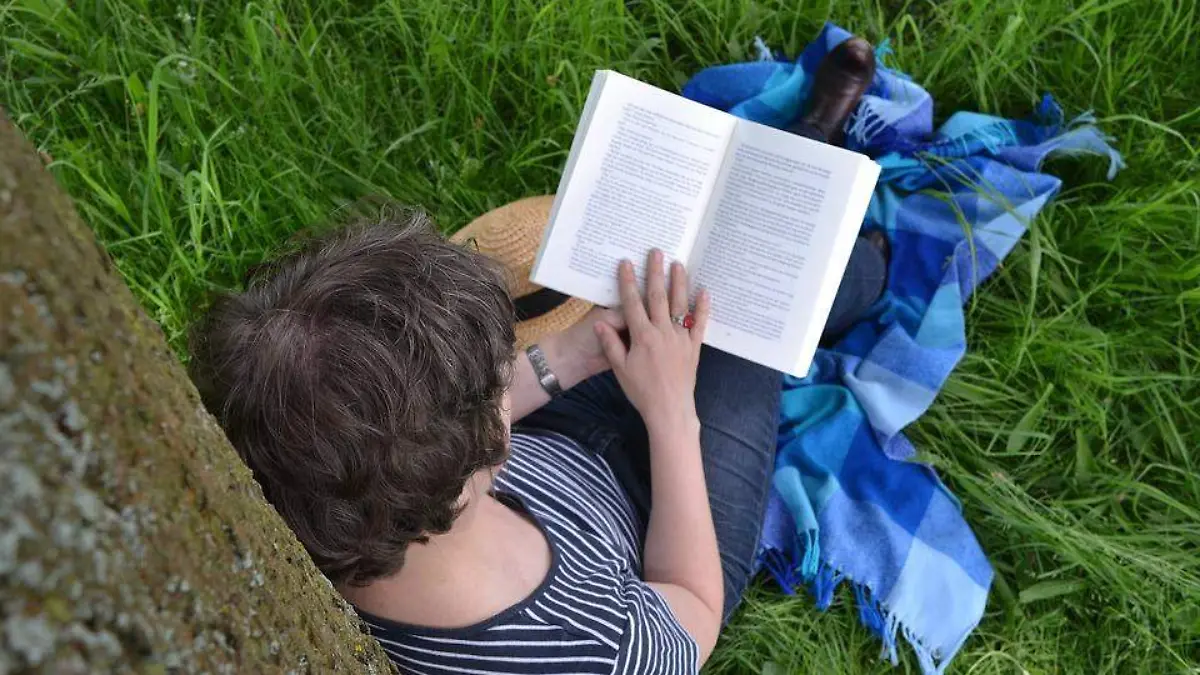 book-1500658_960_720