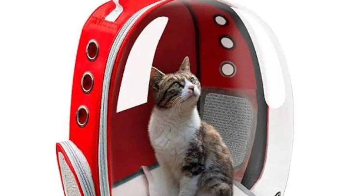 mochila transportadora