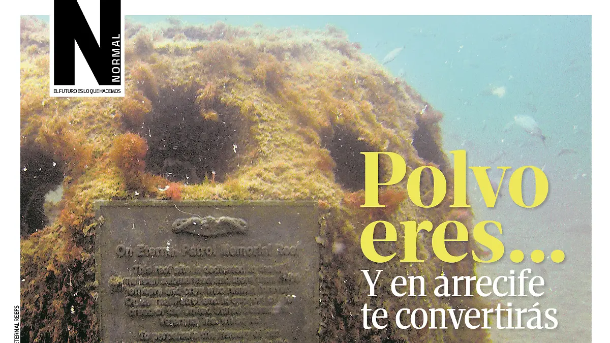Eternal reef SITIO1
