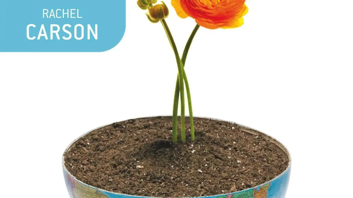 152467_47293_1_Primavsilen17