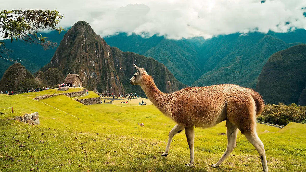 davis-vargas-2vSNlKHn9h0-unsplash