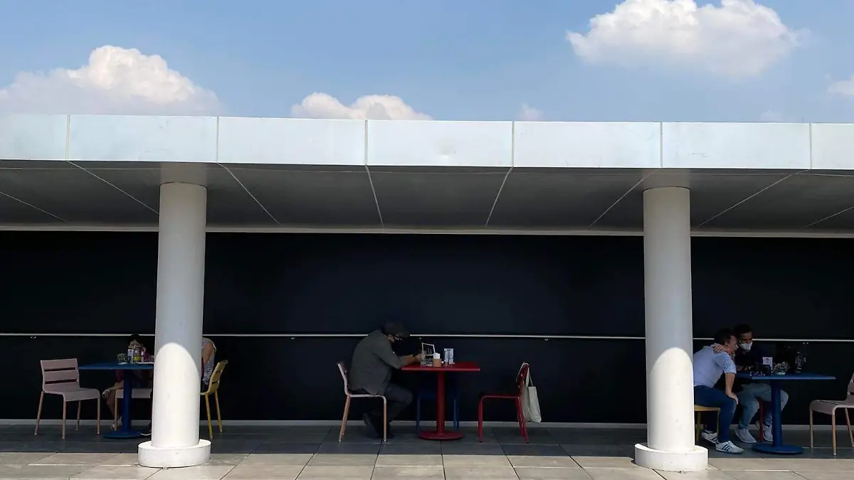 5_MUSEO_TERRAZA275260296_383315779909082_2576099002657955226_n