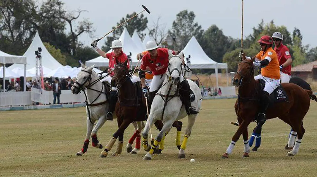 polo