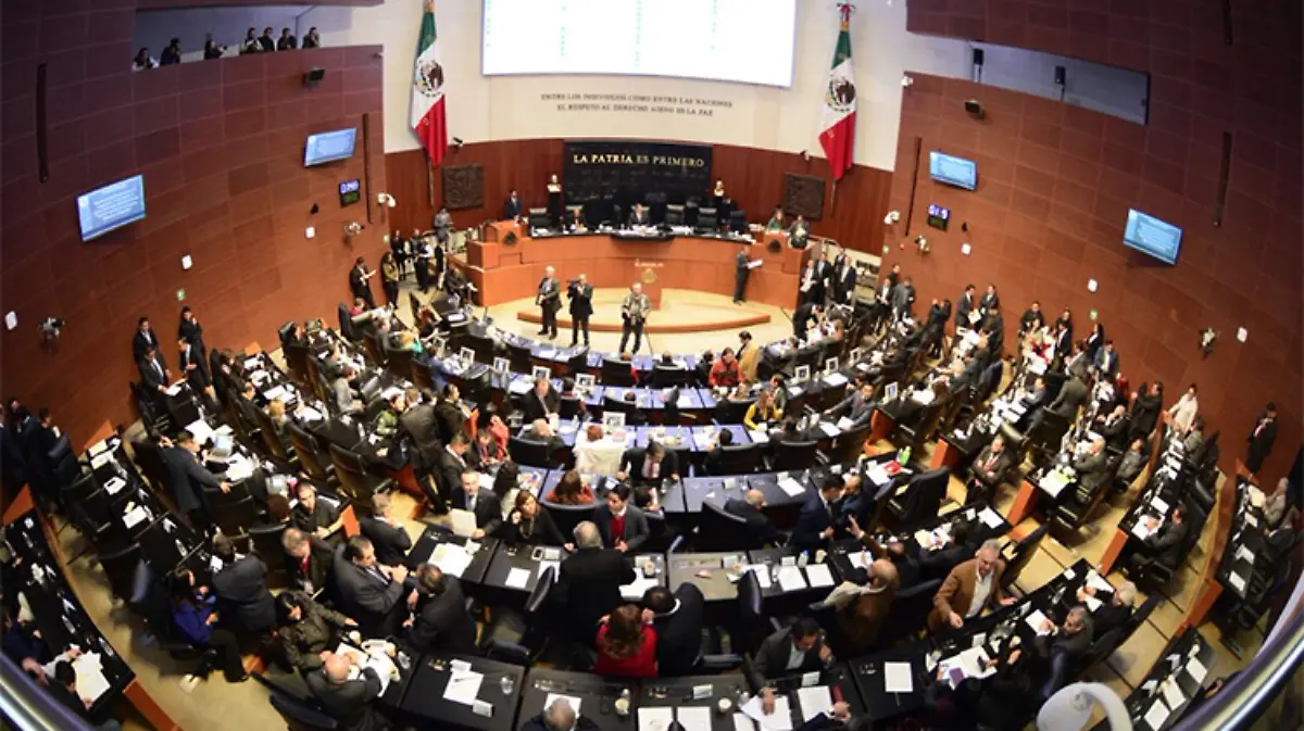 senado-ley