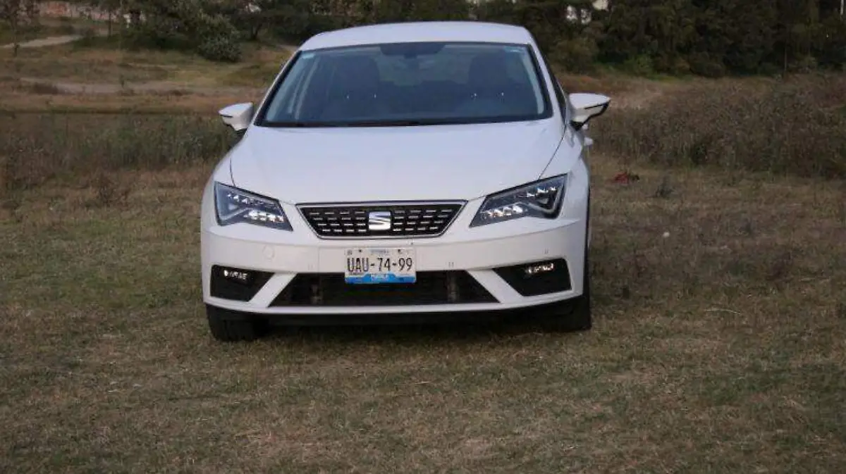 Frontal-setaleon-calaveras