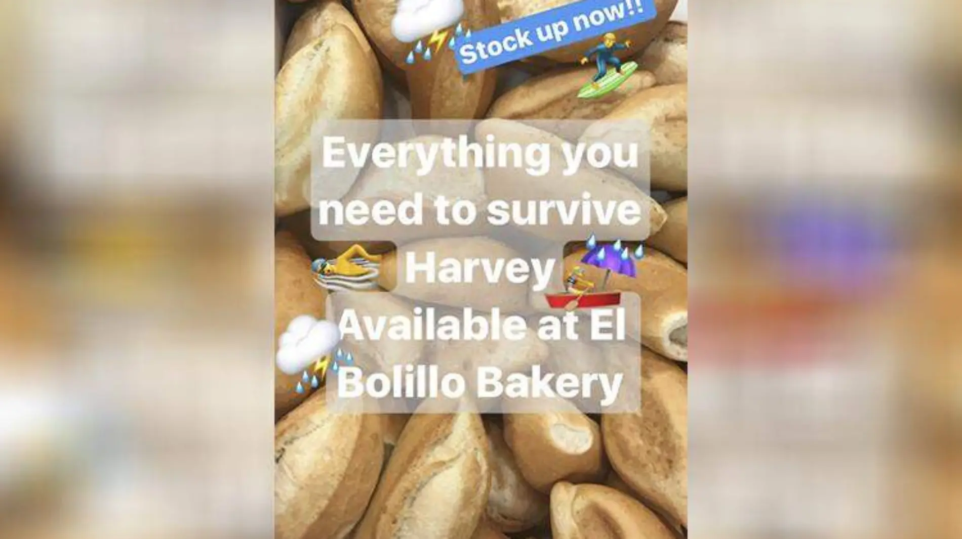 pan-harvey-texas-panaderia-