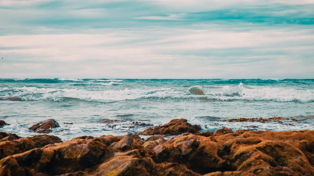 dan-aragon-j9TeJl5gPvs-unsplash