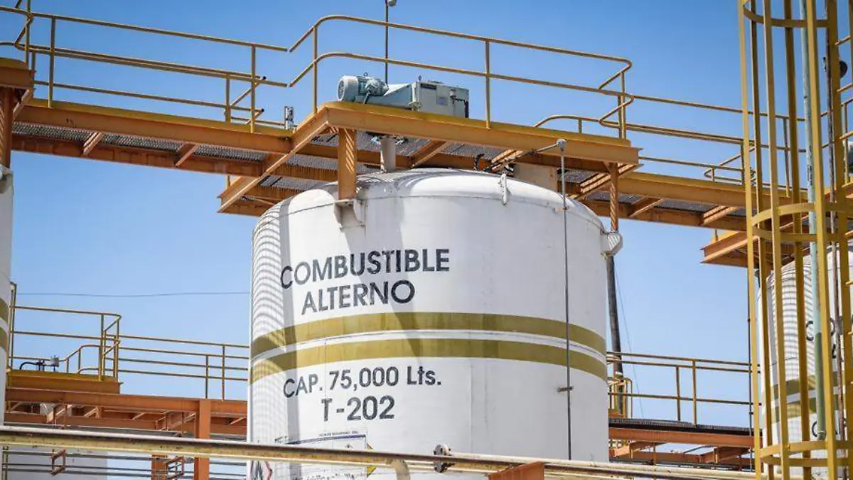 Image 2023-08-21 at 12.58.30