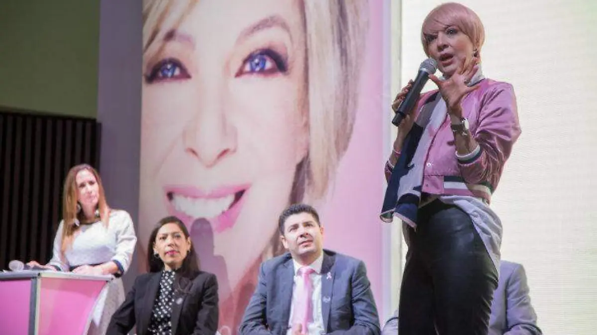 Octubre_Rosa_Fucam-1
