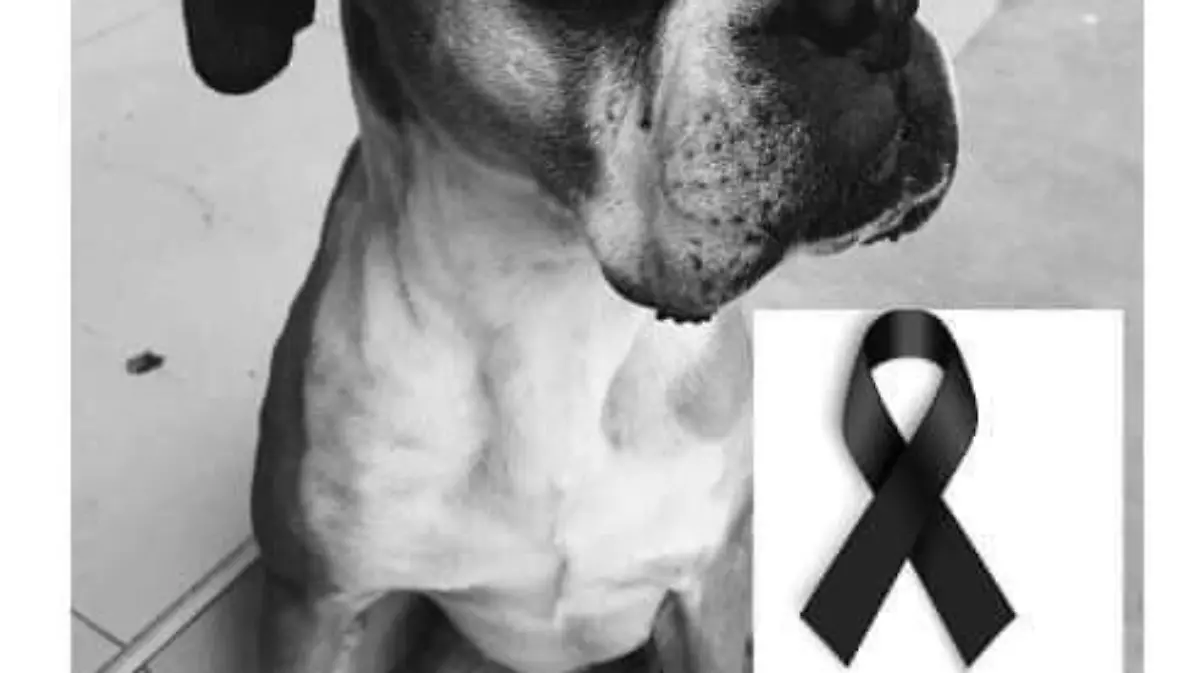 justicia-para-miguel
