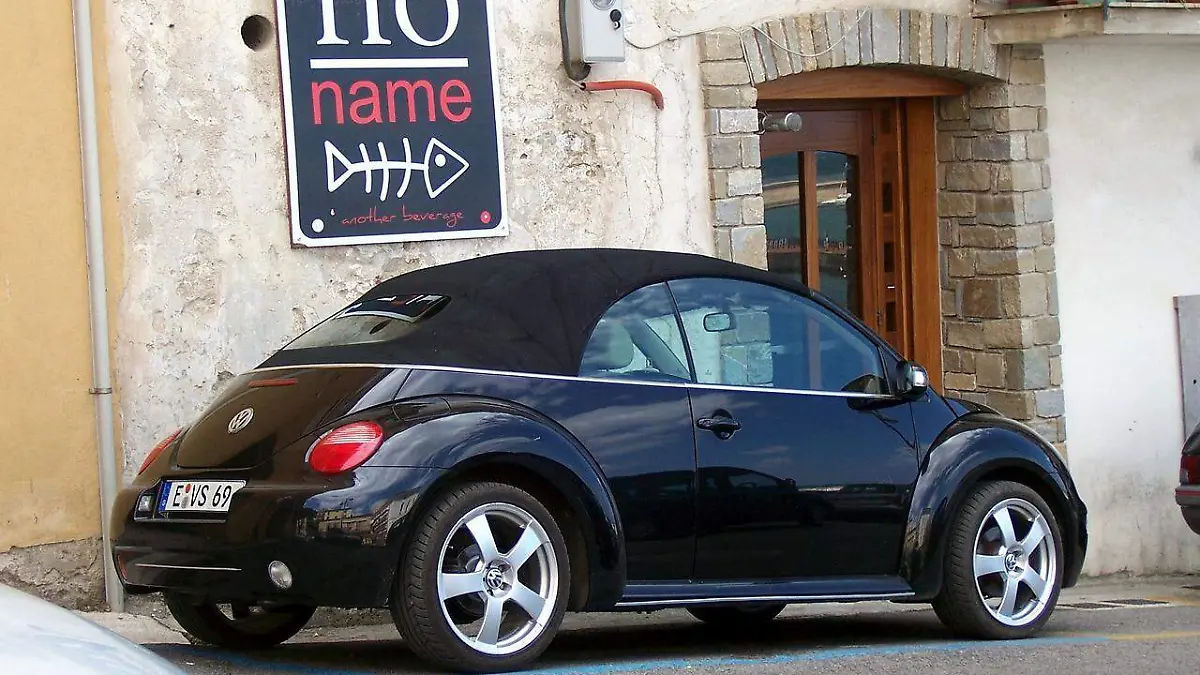 beetle