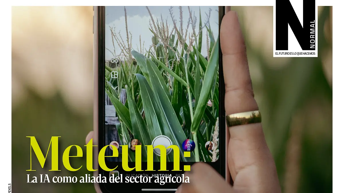 Meteum SITIO1