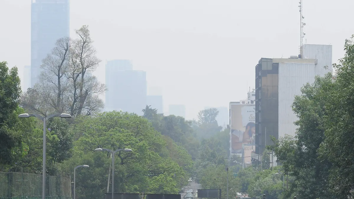 Contaminación