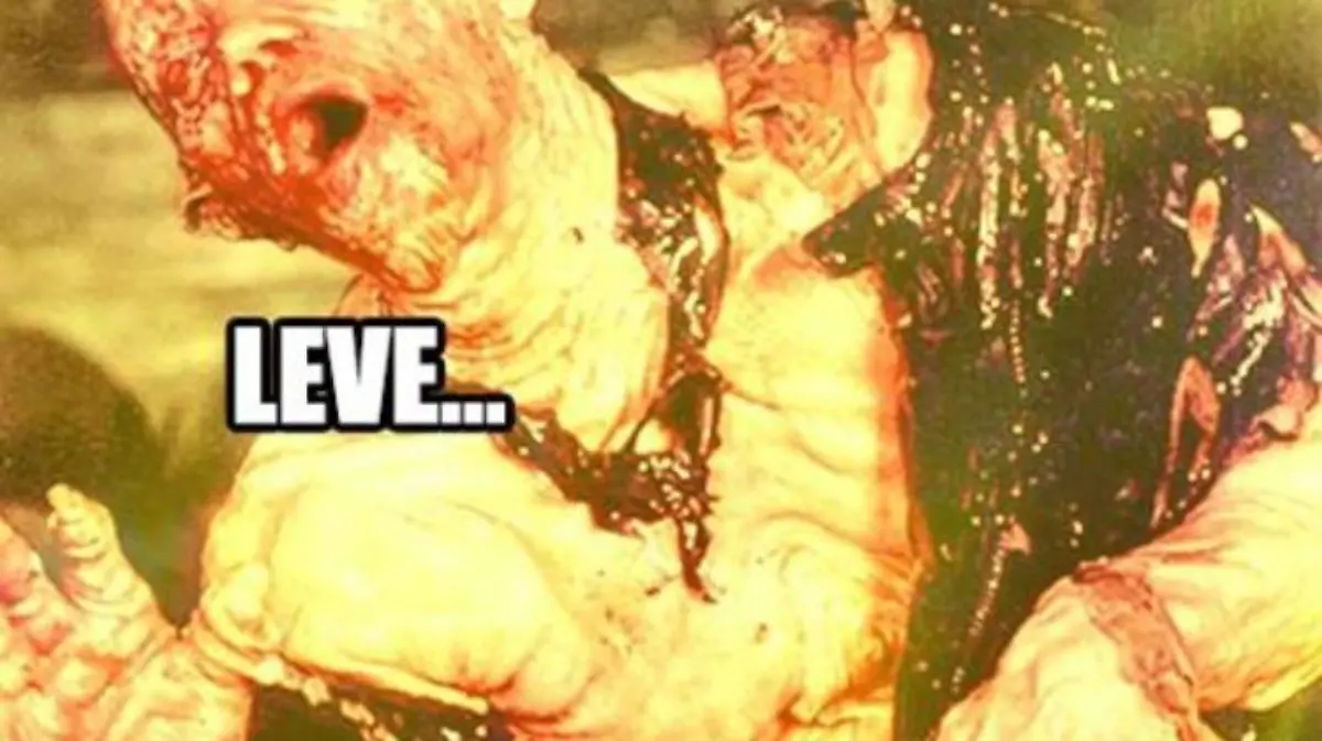 whatsapp-image-2017-05-18-at-5-39-10-pm