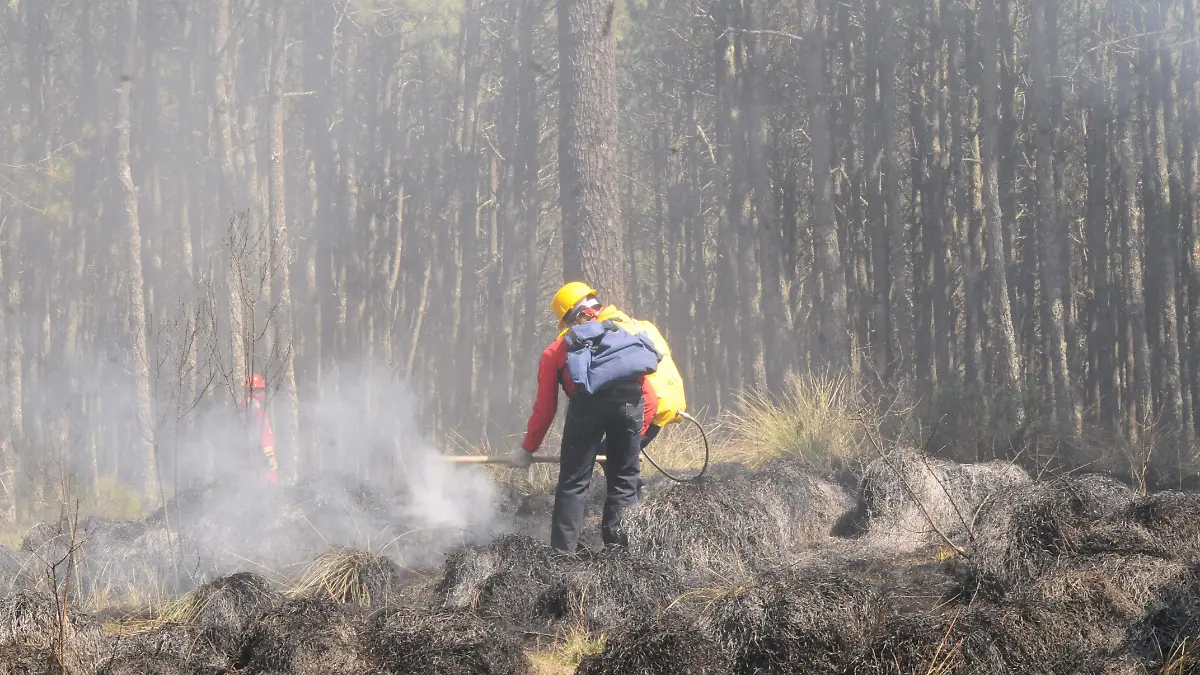 Incendios forestales