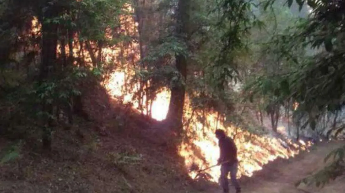 Combaten-fuego ESPECIAL