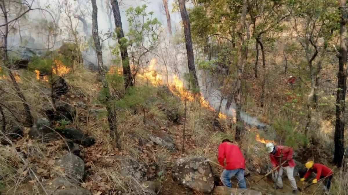 incendio valle de bravo