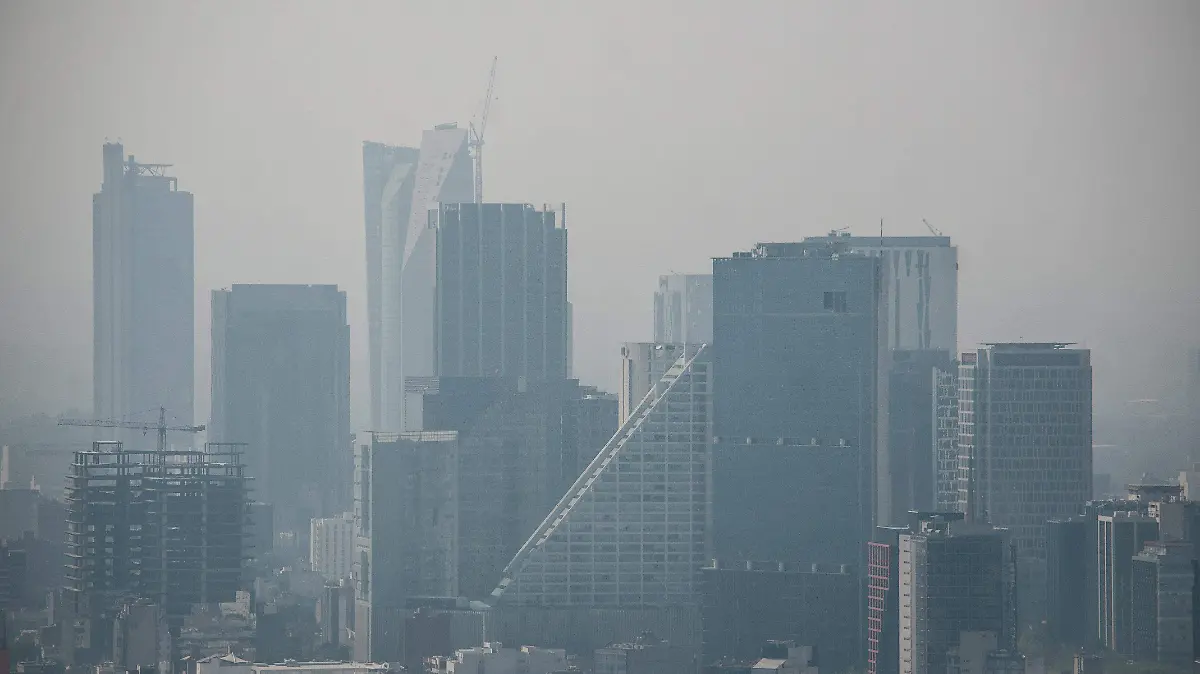 contaminación-6-dic
